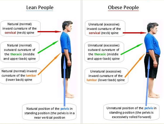 Obesevslean
