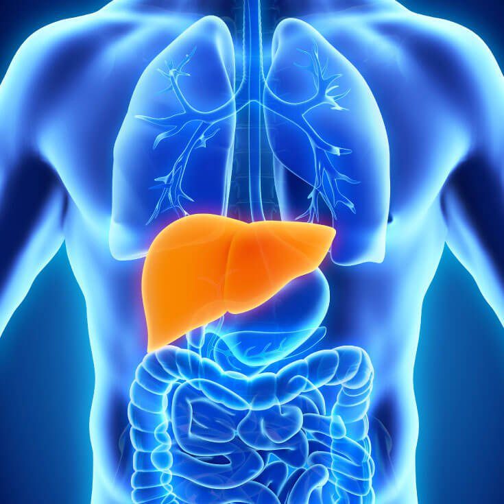 Dry January? How to protect and support your liver!