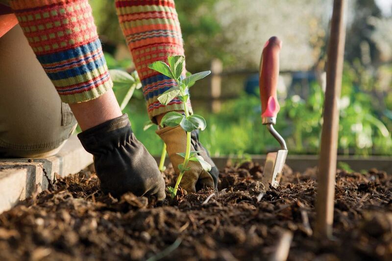 Spring is coming! - Gardening tips for a healthy spine Gardening