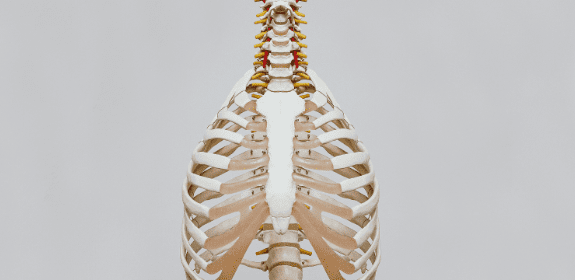 Spinal Discs, and their common problems