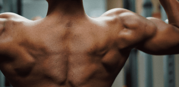 Shoulder Behind