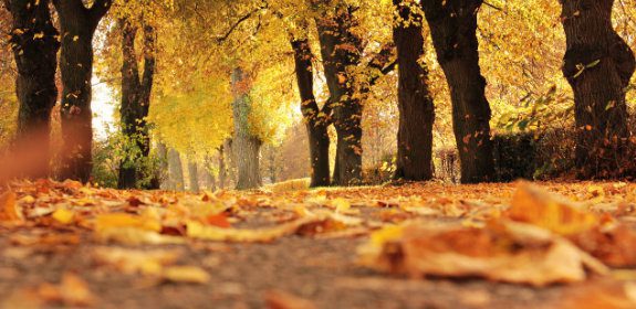 Autumn Exercise – 5 Tips!